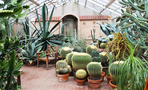 Lamberton Conservatory in Highland Park (photo by Rachel Dowling)