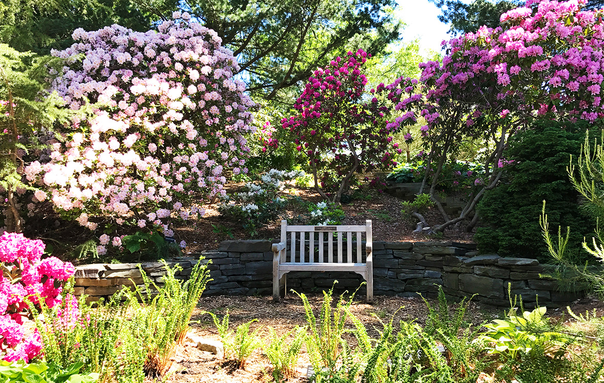 Hidden Gems Cornell Botanic Gardens A Healthier Upstate