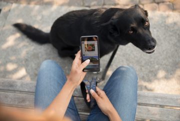 Picture of a person holding a phone with a black dog in the background