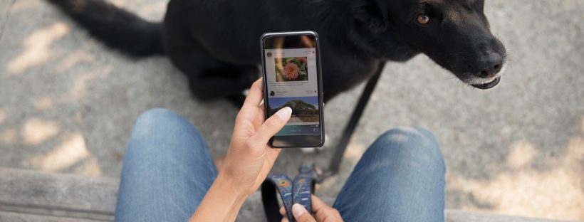 Picture of a person holding a phone with a black dog in the background