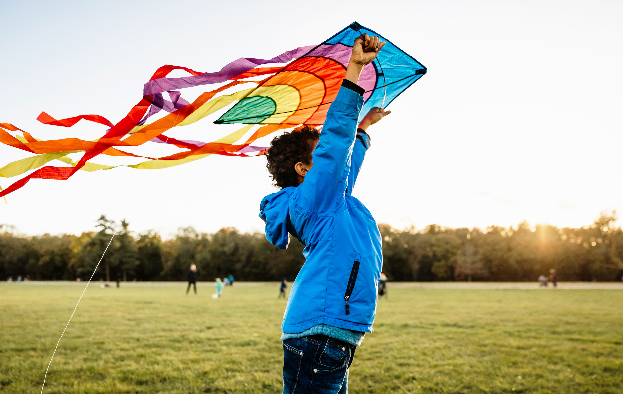 Picture of a boy flying a kite in a park