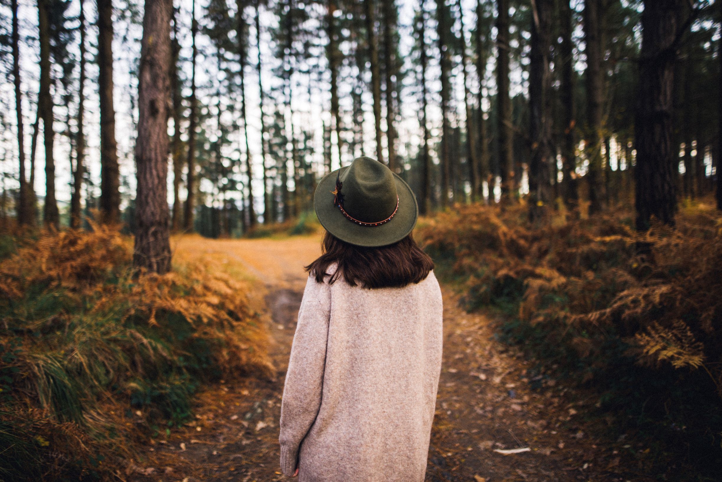 Picture of a woman walking alone in the woods