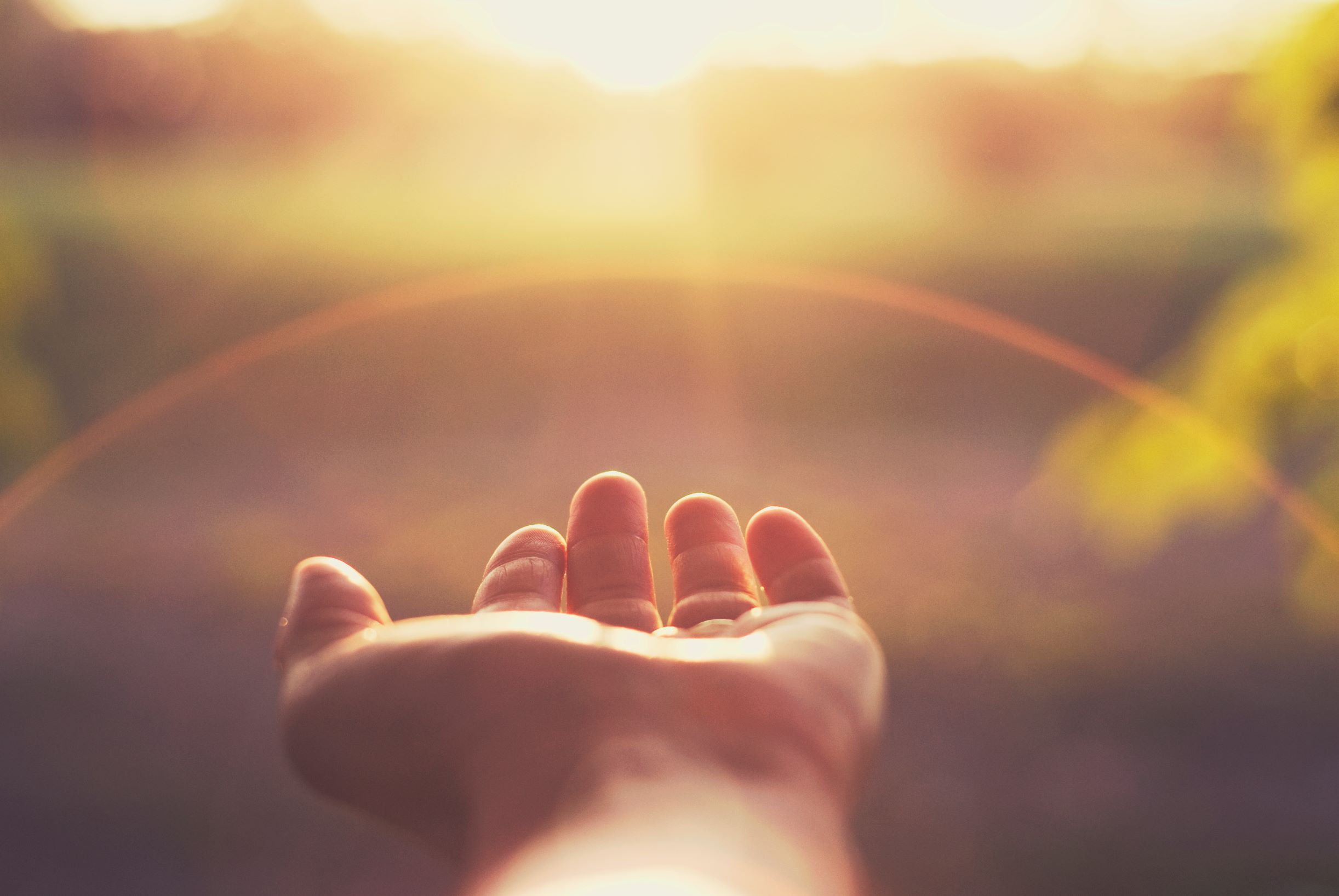 Picture of a hand reaching toward the sun