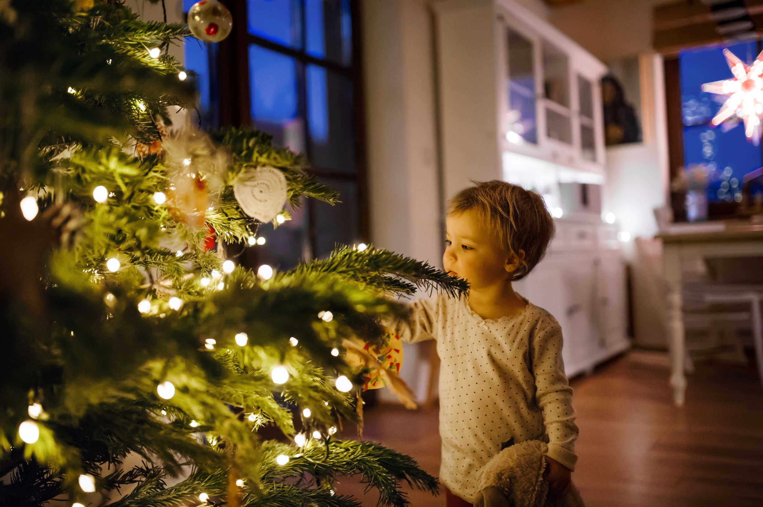 picture of a boy standing next to a christmas tree